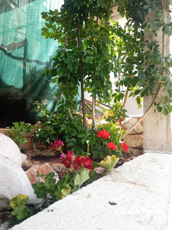 Guest House Inara Neum Bagian luar foto